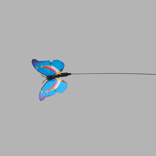 Butterfly Cat Toy